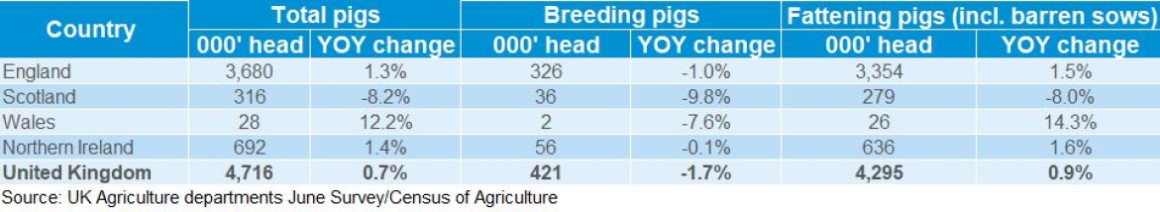 Data table showing UK pig pop split by country